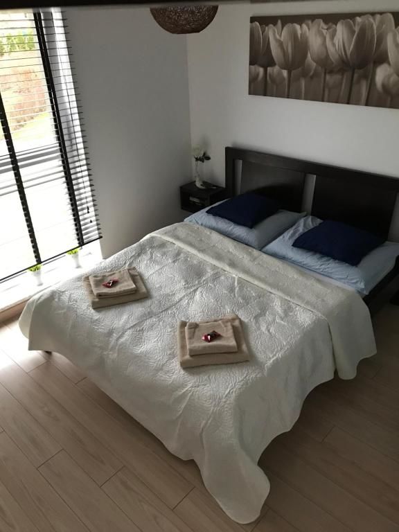 Апартаменты Apartament Alihouse Быдгощ-81