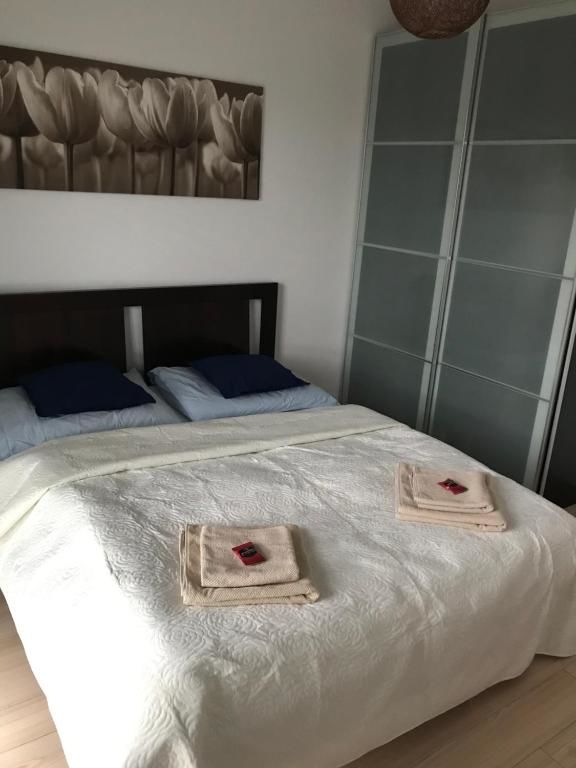 Апартаменты Apartament Alihouse Быдгощ-85